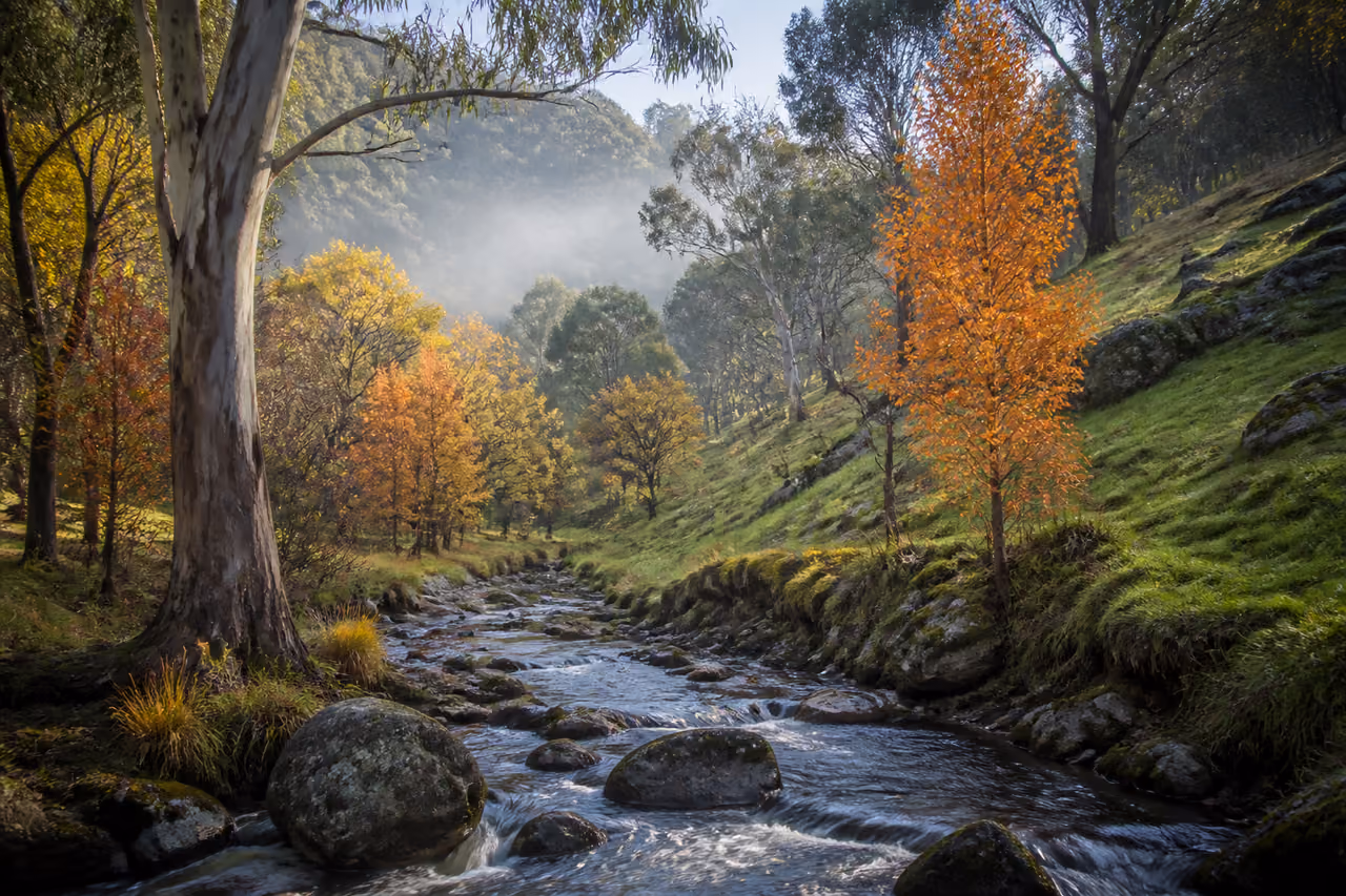 Lush Rolling Hills and Stream in a Temperate Australian Climate