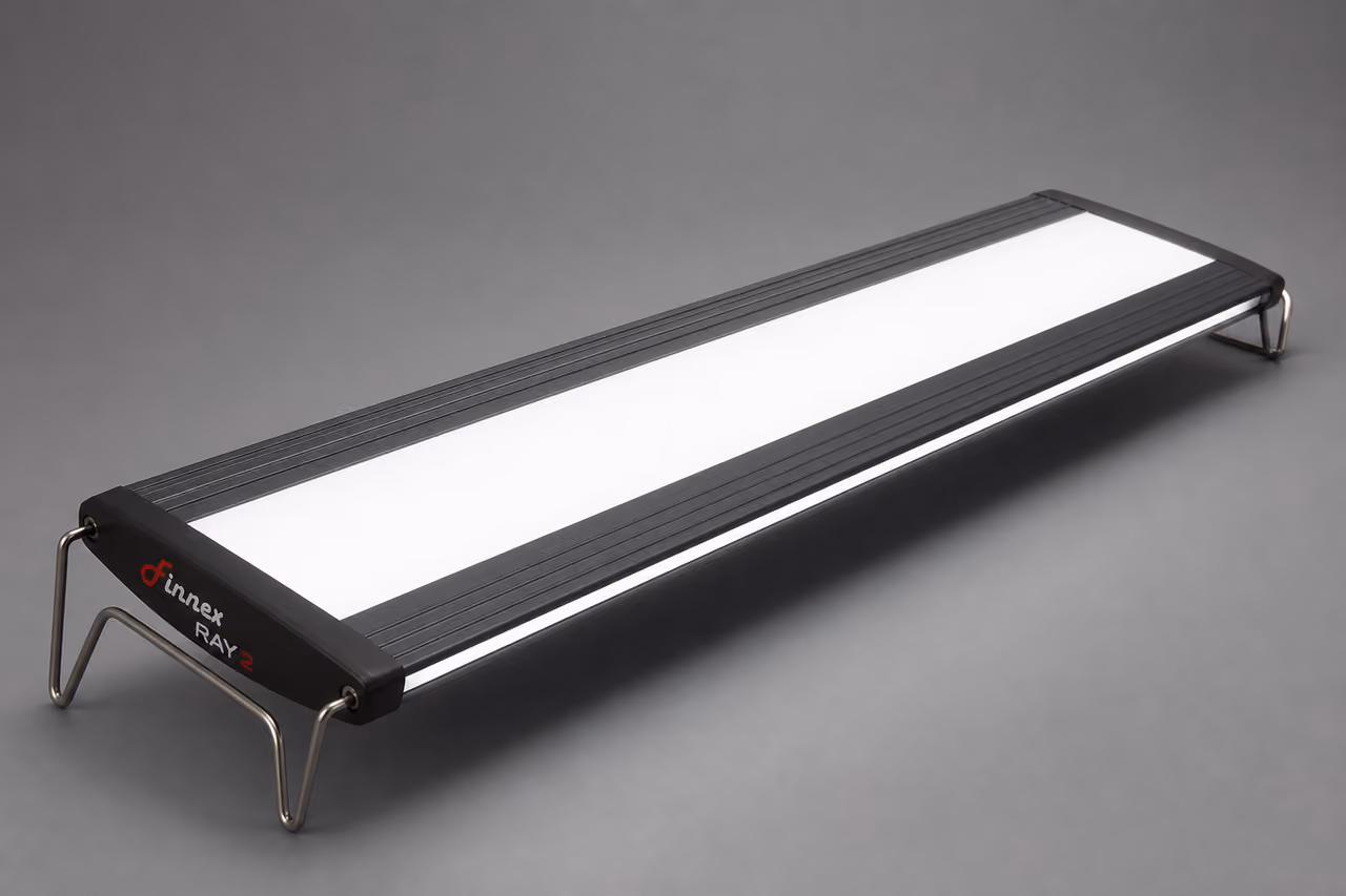 Finnex Ray 2 48 LED Light Panel in Studio Setting