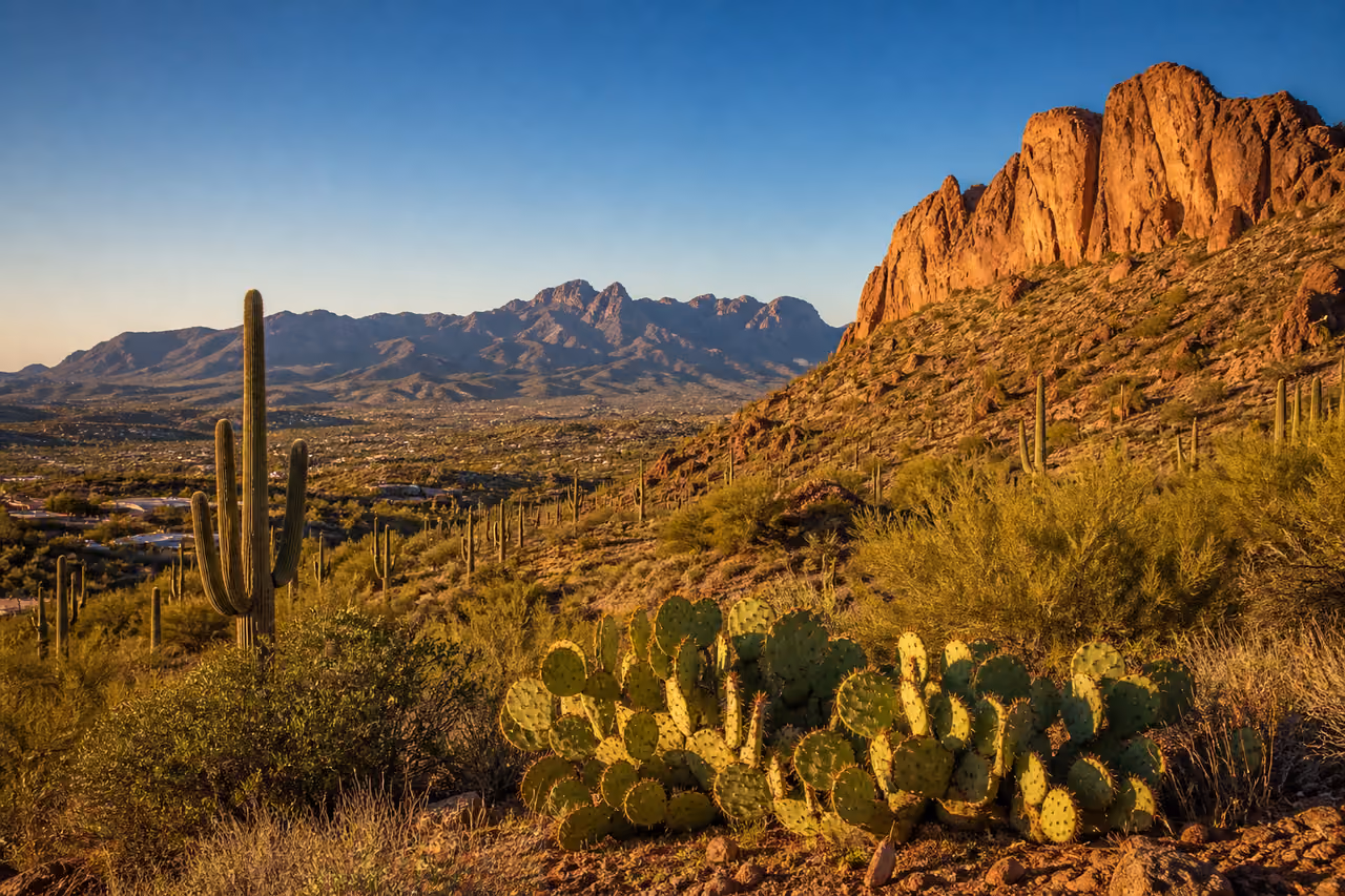 Scenic Red Rock Cliffs and Cacti in Fountain Hills Az