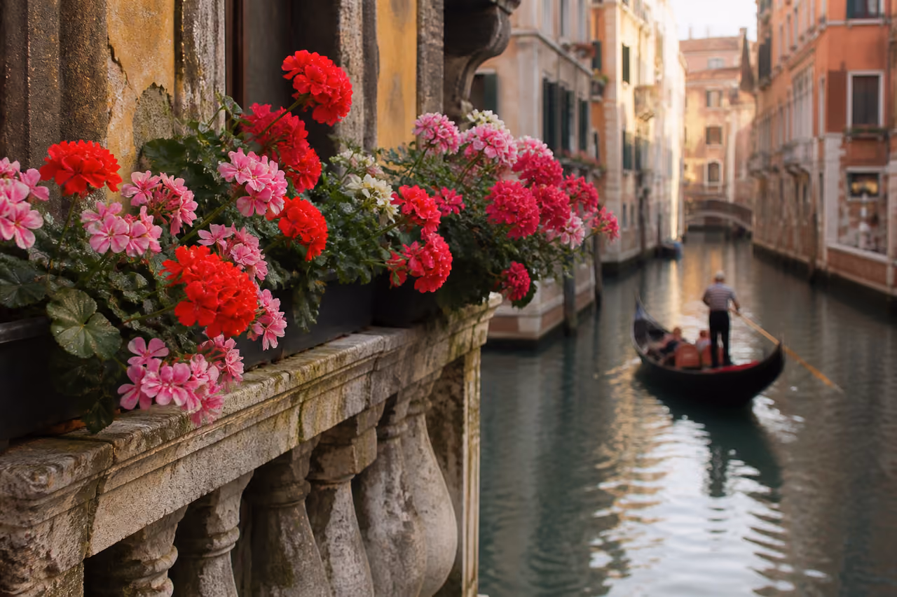 Vibrant Flower Boxes Overlooking a Venetian Canal in Italy