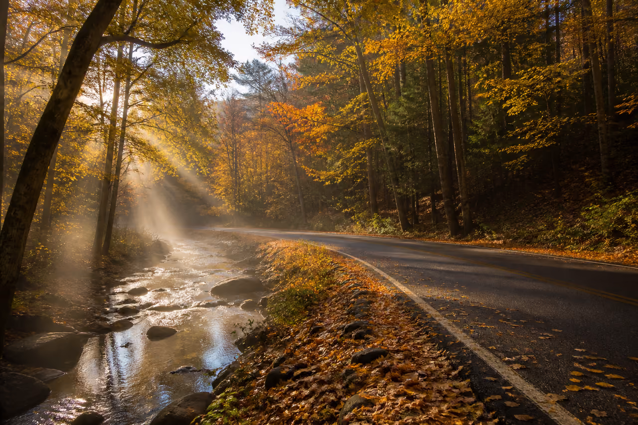 Winding Road Along Mill Creek Drive in Autumn Forest