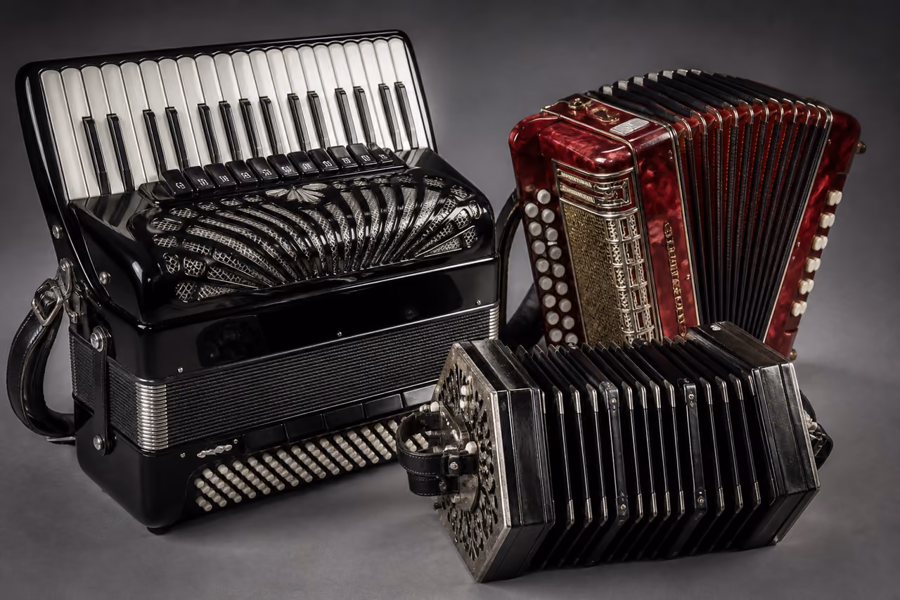Various Accordion Types Arranged in a Studio Setting