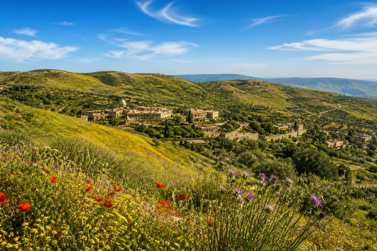 Sunlit Spring Landscape of the Galilee Region in Israel
