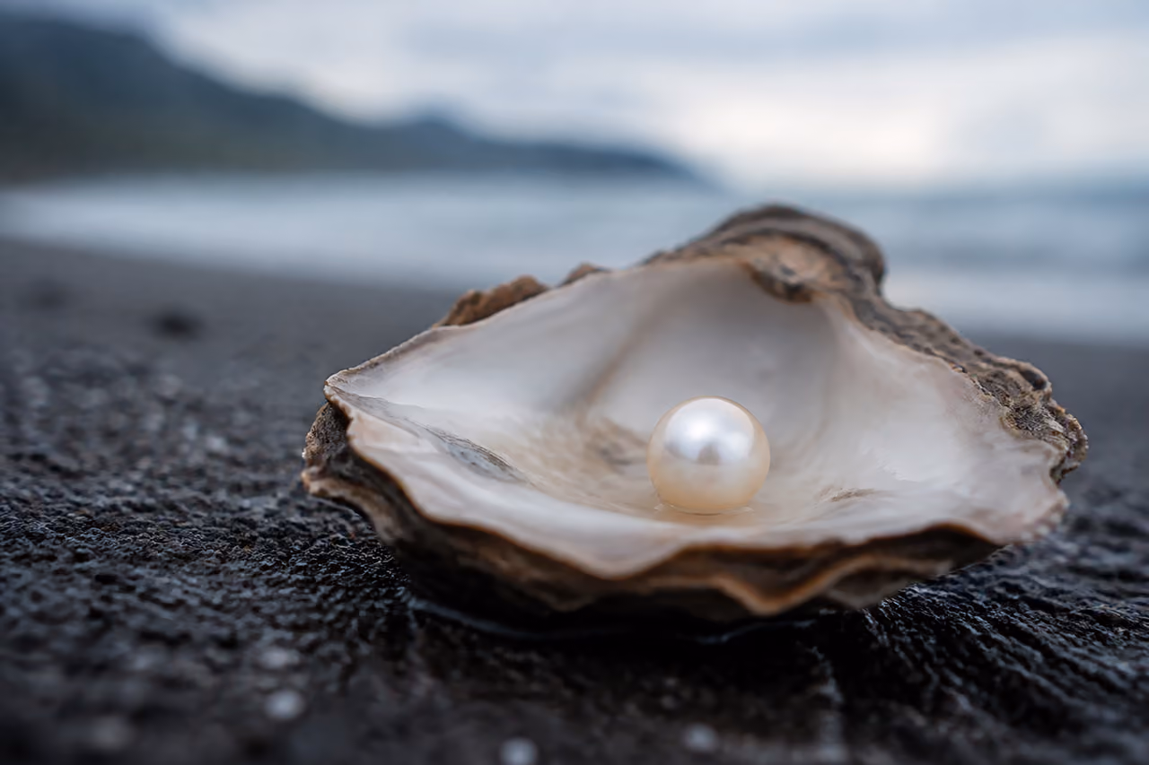 Lustrous White Pearl Inside an Open Oyster Shell