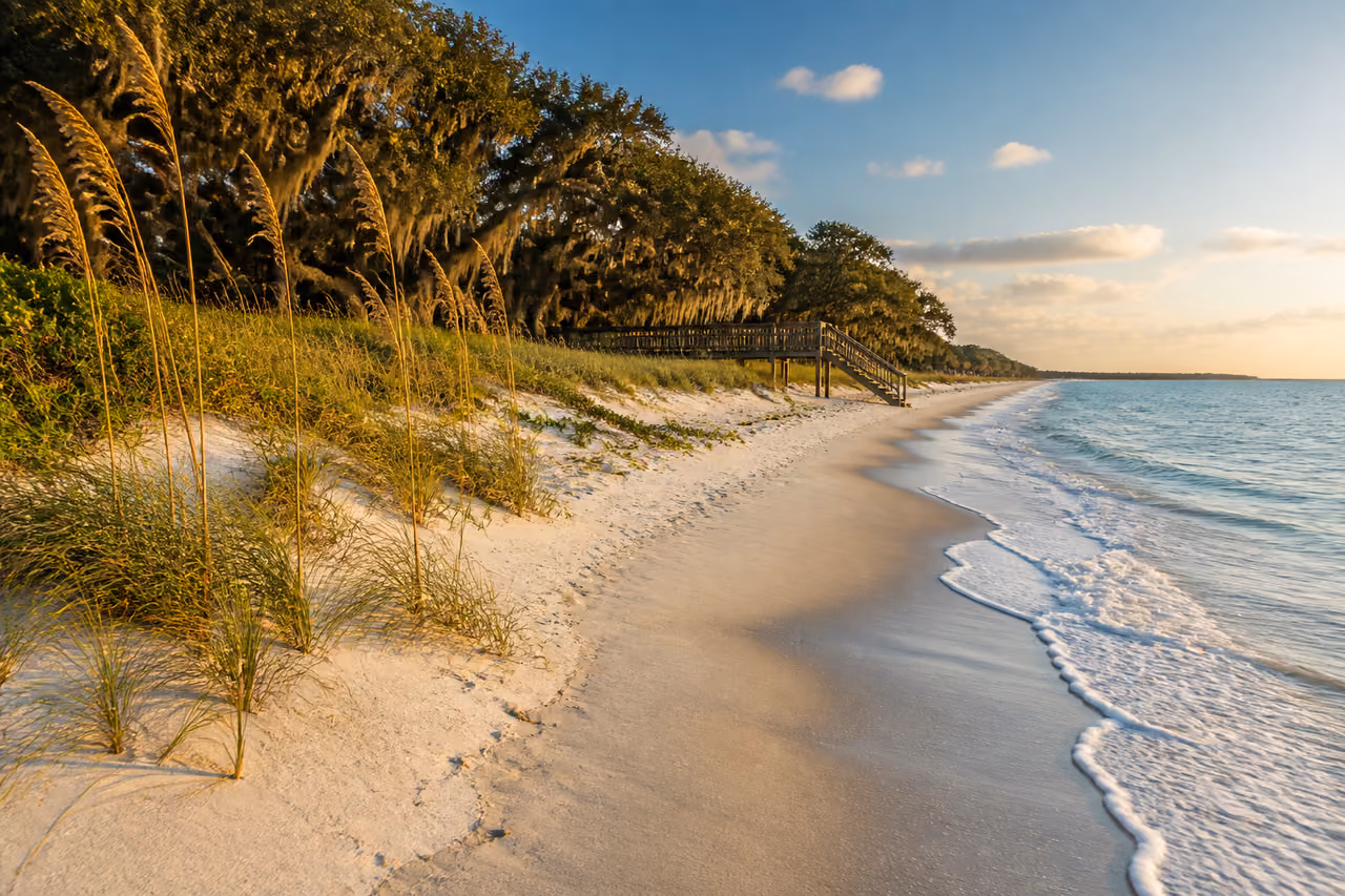 Pristine White Sand Beach and Maritime Forest on Hilton Head Island