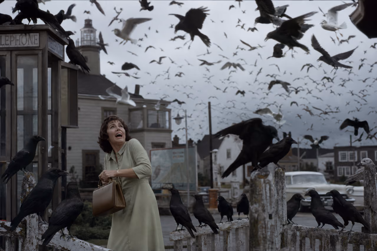 Woman Facing Swarm of Birds in Coastal Town