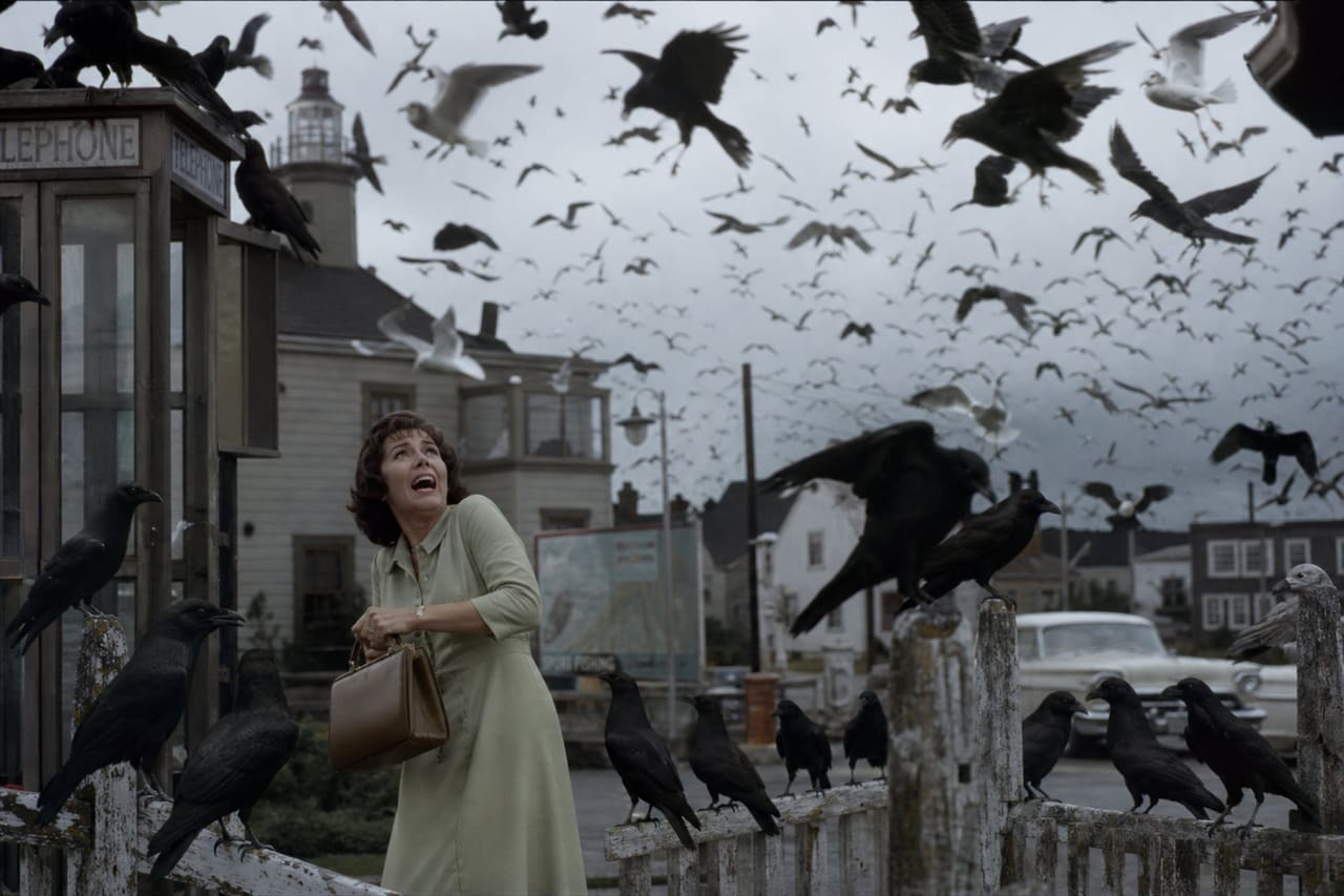 Woman Facing Swarm of Birds in Coastal Town